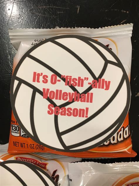 volleyball gifts for team|More.